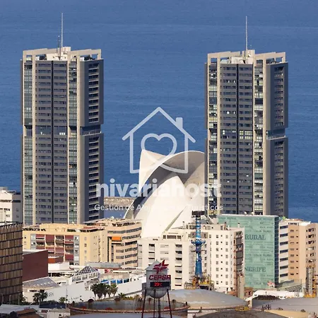 The Mint Cruz, By Nivariahost